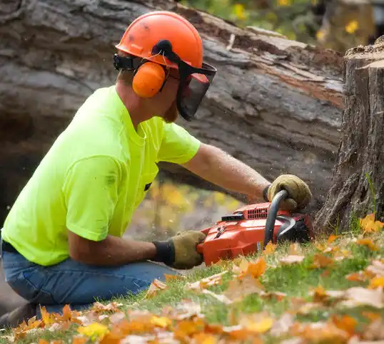 tree services Monroeville